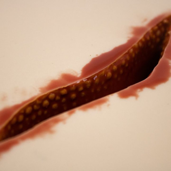 Simulator für Wundpackungen, grundlegende quadratische Rissbildung